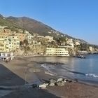 Bogliasco tutto