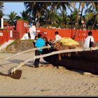 Bogmallo Beach Goa India 2