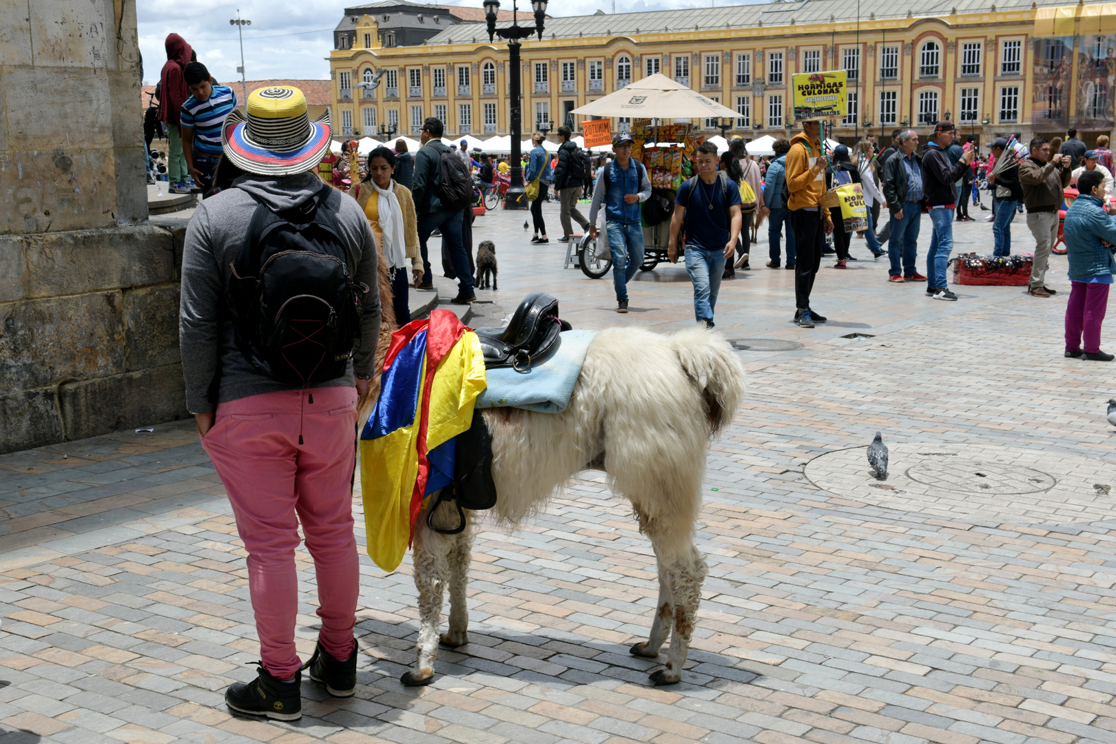 Bogota 7, Street