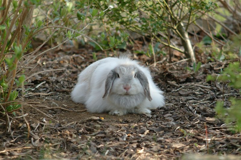 Boh - war das anstrengend :-)