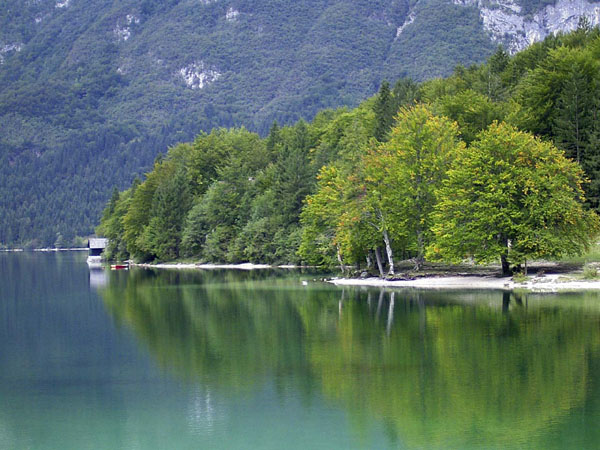 Bohinj-See 1