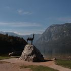 Bohinj See Slowenien