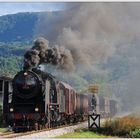 Bohinjska proga/Ferrovia Transalpina/Wocheiner Bahn I