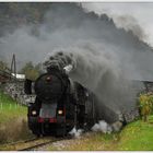 Bohinjska proga/Ferrovia Transalpina/Wocheiner Bahn II