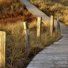 Bohlenweg auf Amrum