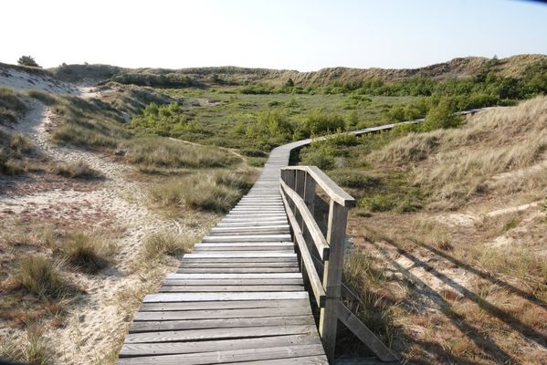 Bohlenweg auf Amrum