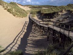 Bohlenweg auf Amrum