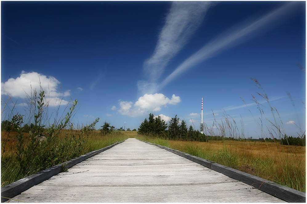 Bohlenweg auf der Hornisgrinde