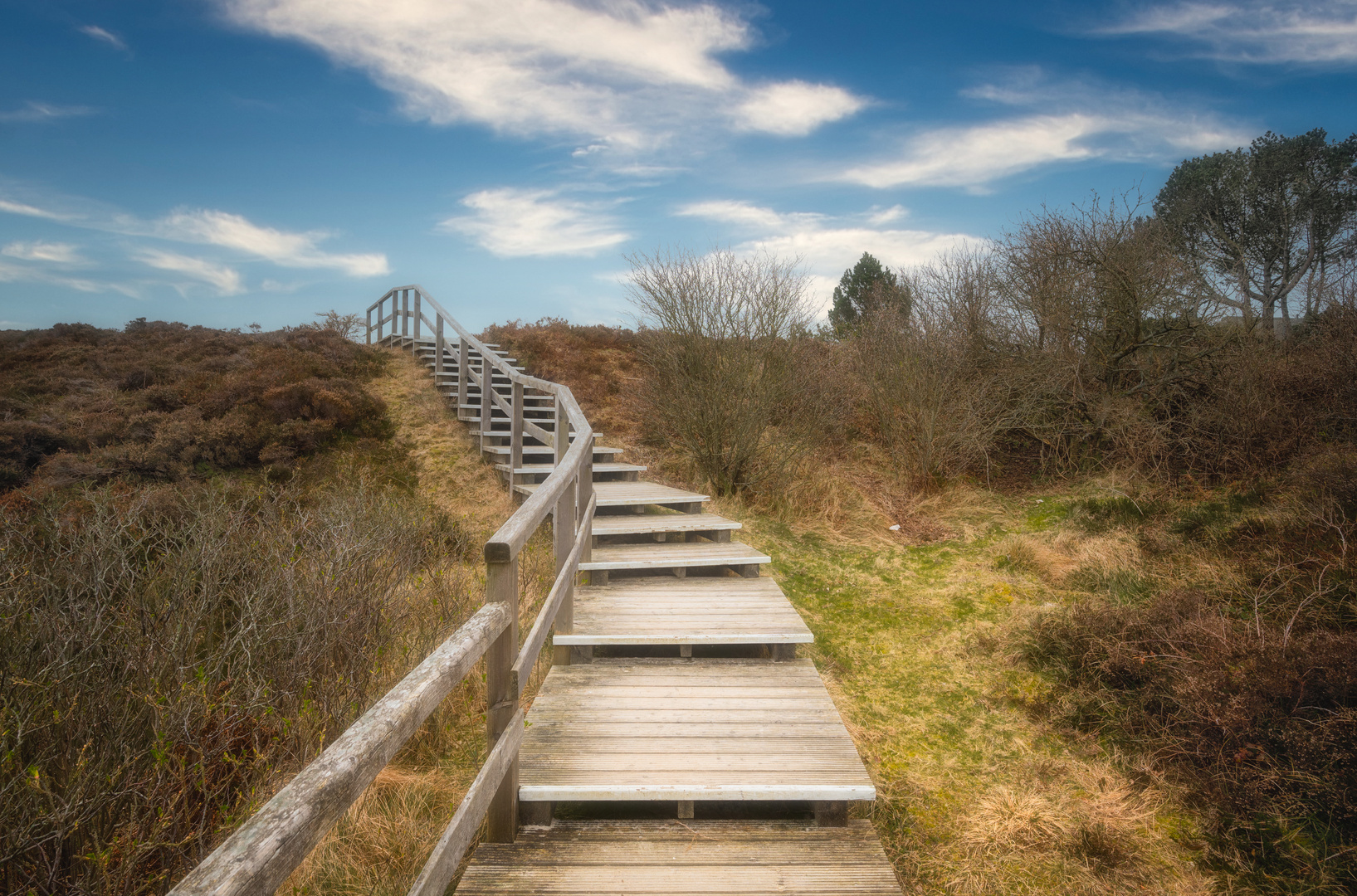 Bohlenweg in der Braderuper Heide