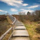 Bohlenweg in der Braderuper Heide