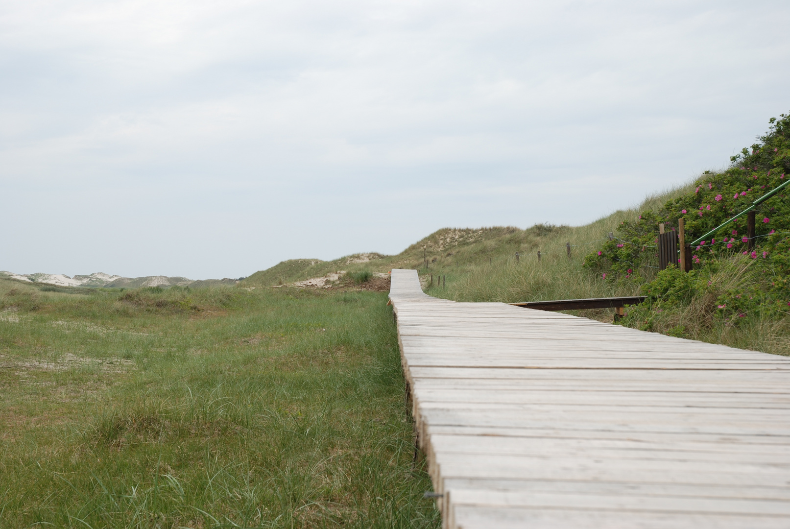 Bohlenweg neben dem Vogelparadies Wriakhörn, Wittdün auf Amrum