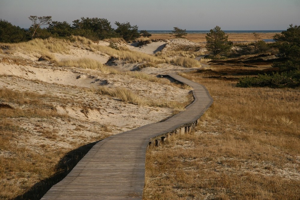 Bohlweg zum Darßer Ort