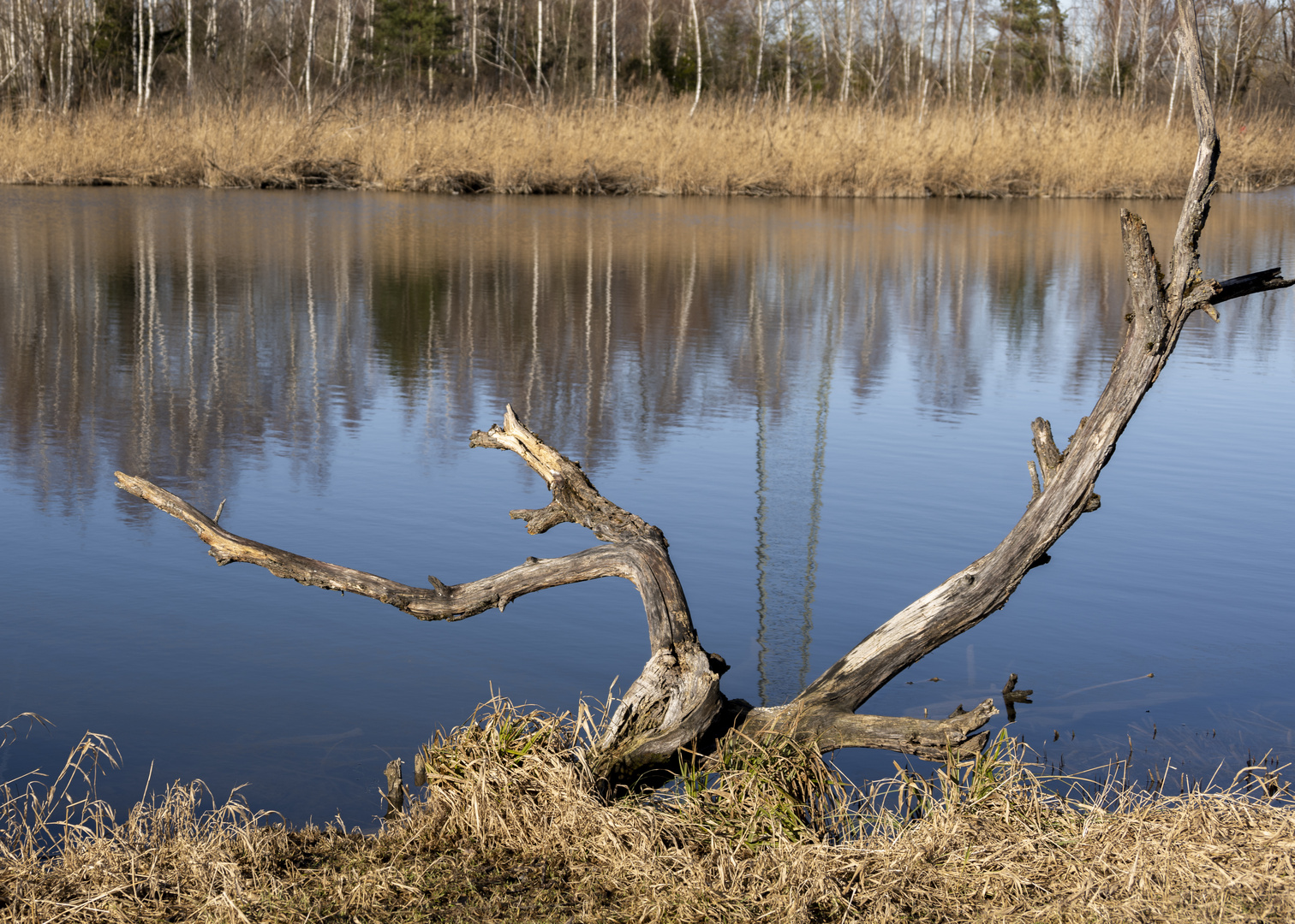 Bo?hmer Weiher