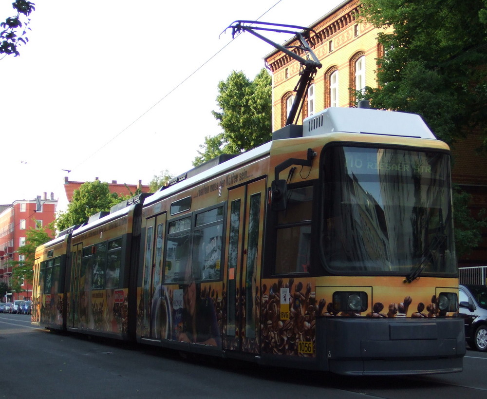 *Bohne das Stadtkind*