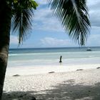 Bohol Beach Club, Philippinen