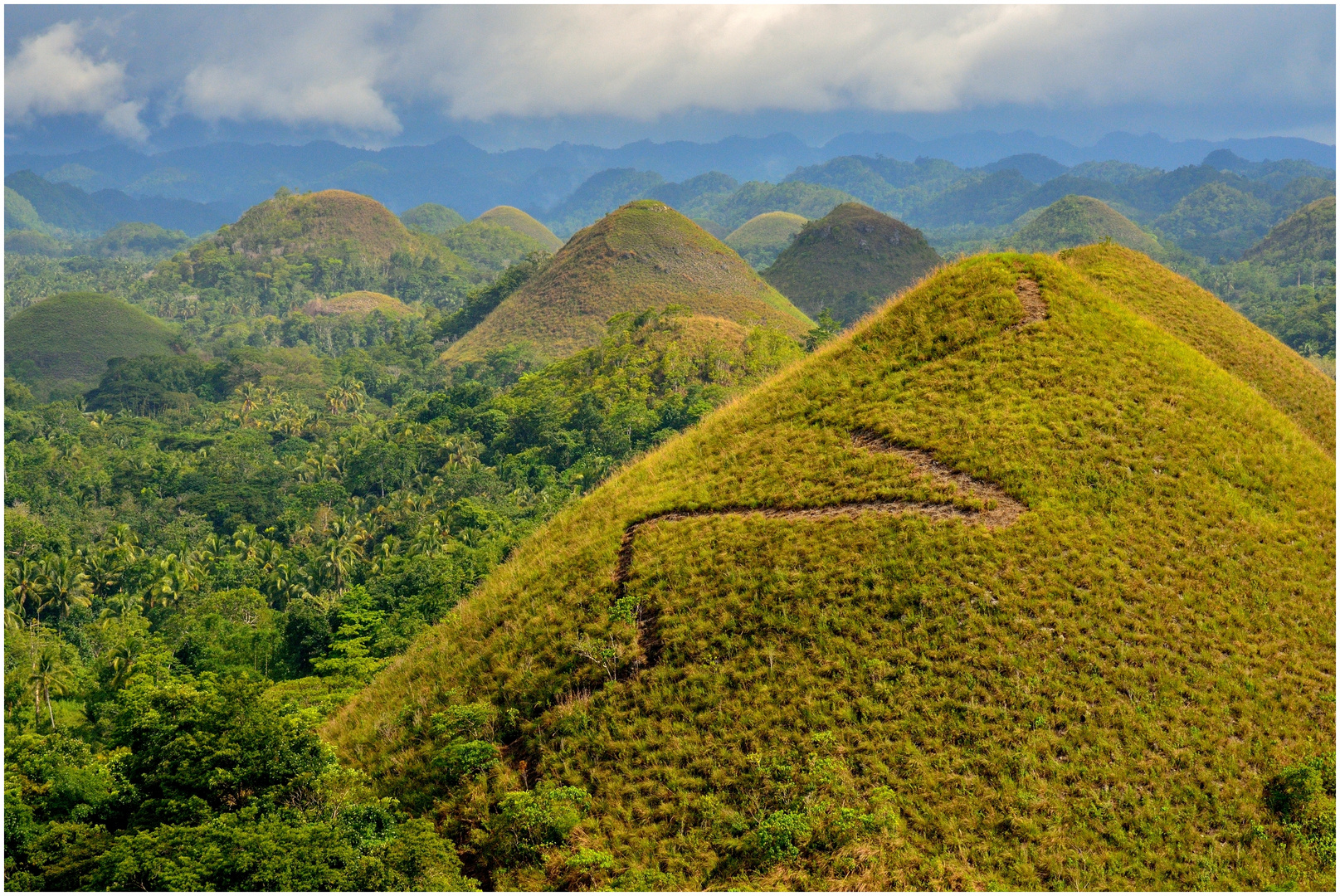 Bohol  -  Chocolate Hills I