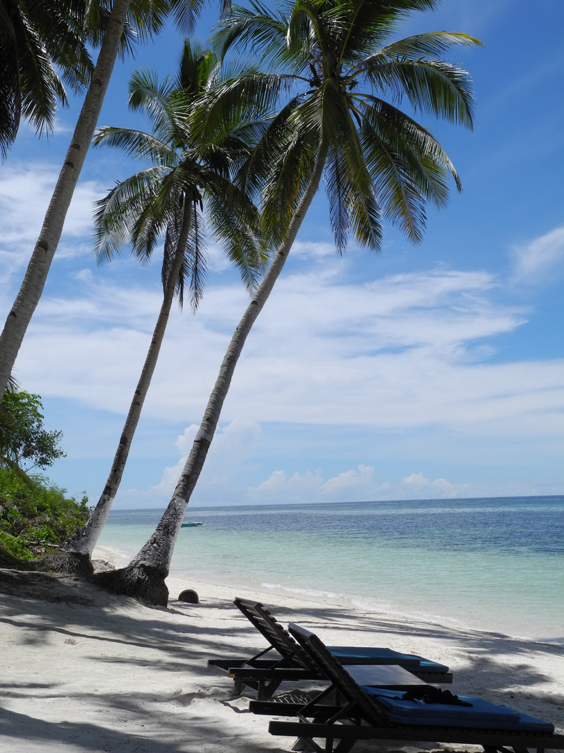 Bohol Philippinen