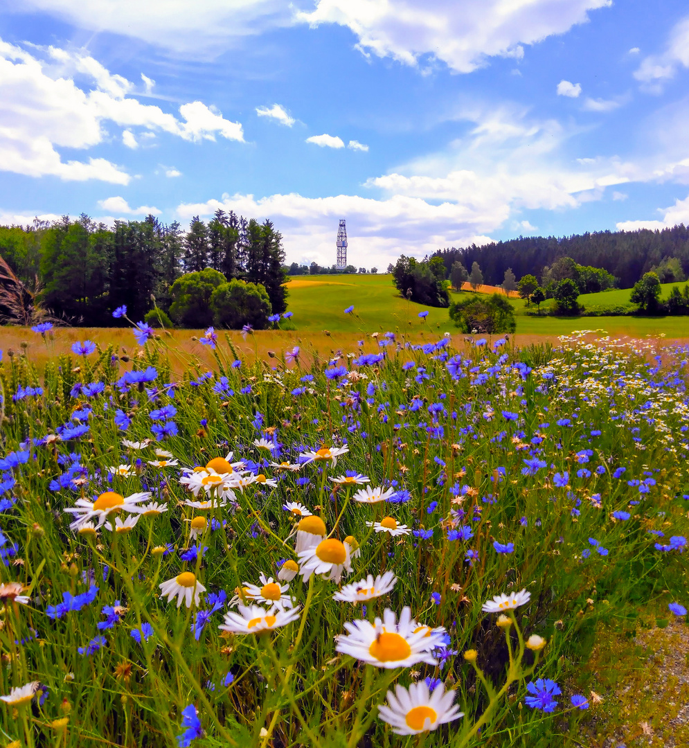 Bohrturm KTB 