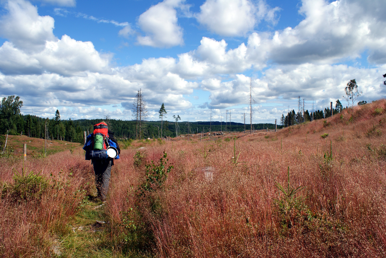 Bohusleden 2012 (Schweden)