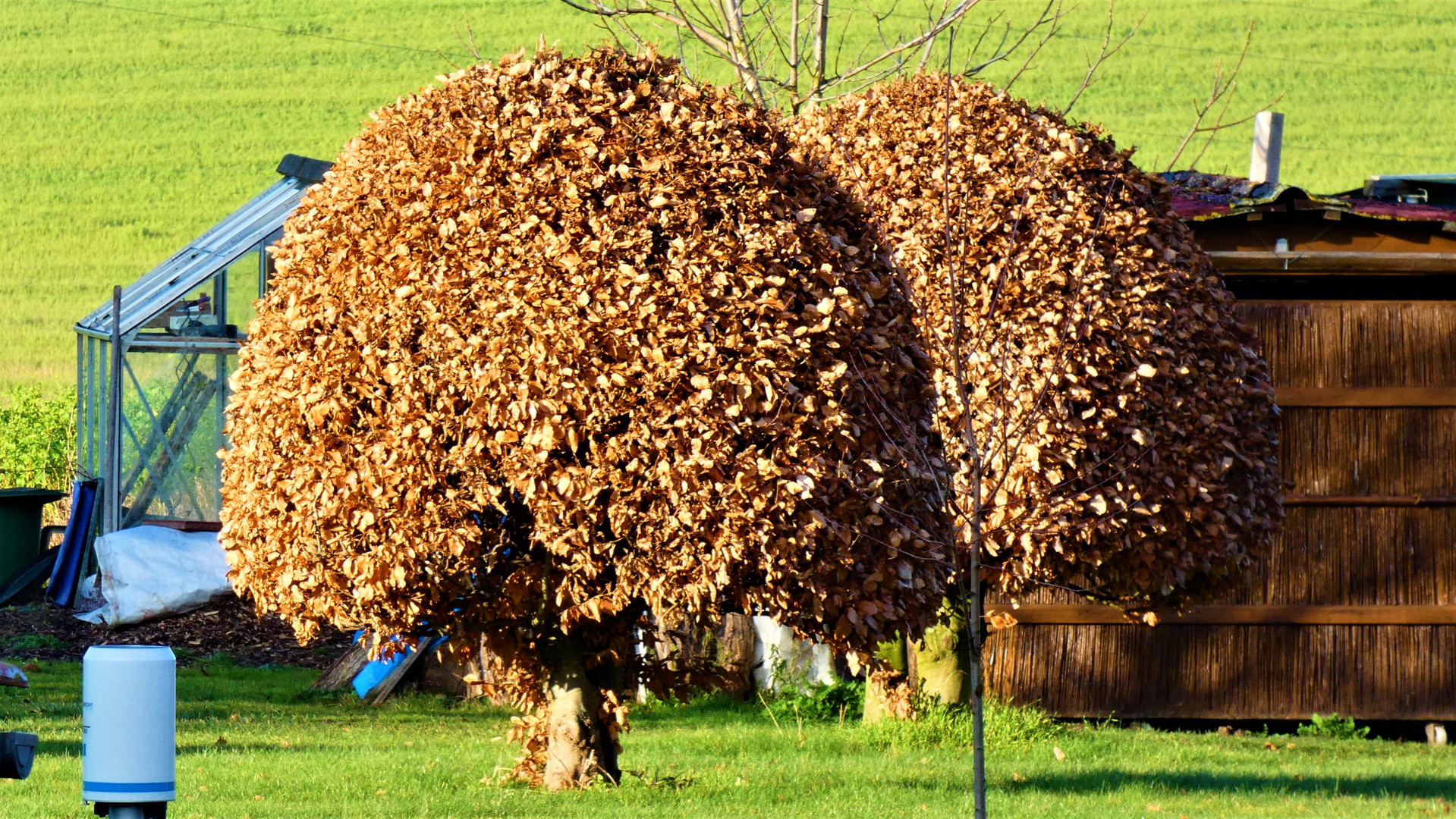 Boin, Winter einmal anders