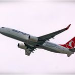 Boing 737-800 Turkish Airline