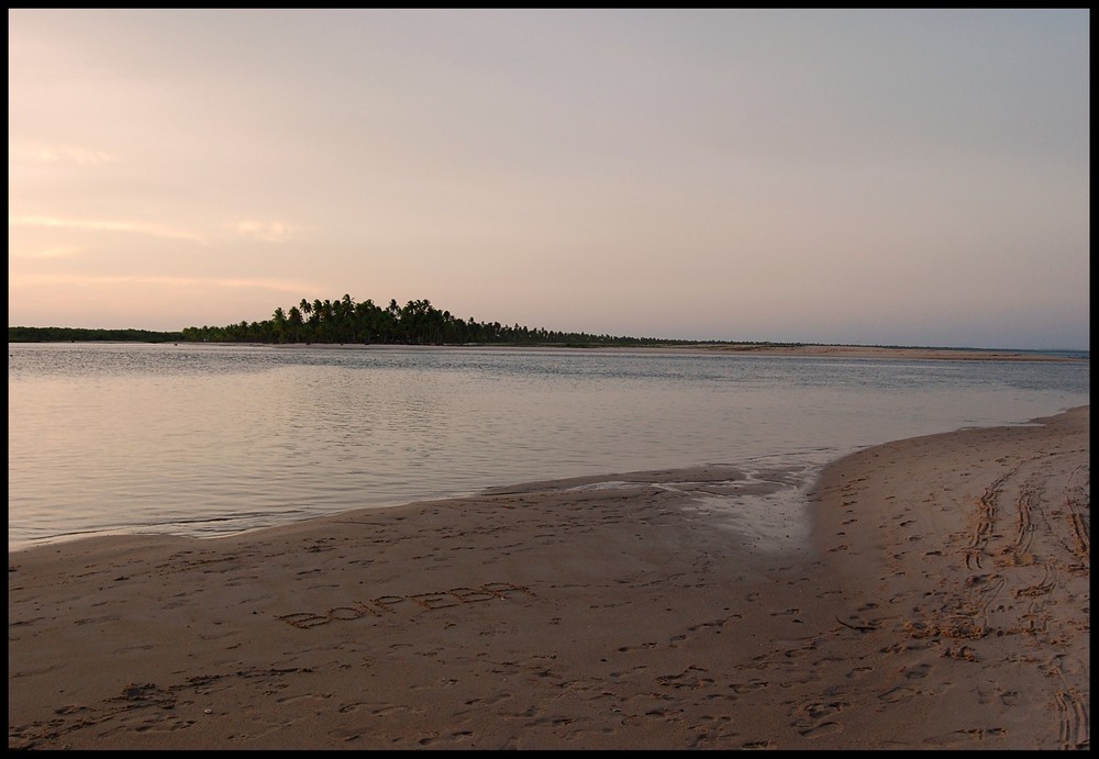 Boipeba on the beach - Brazil