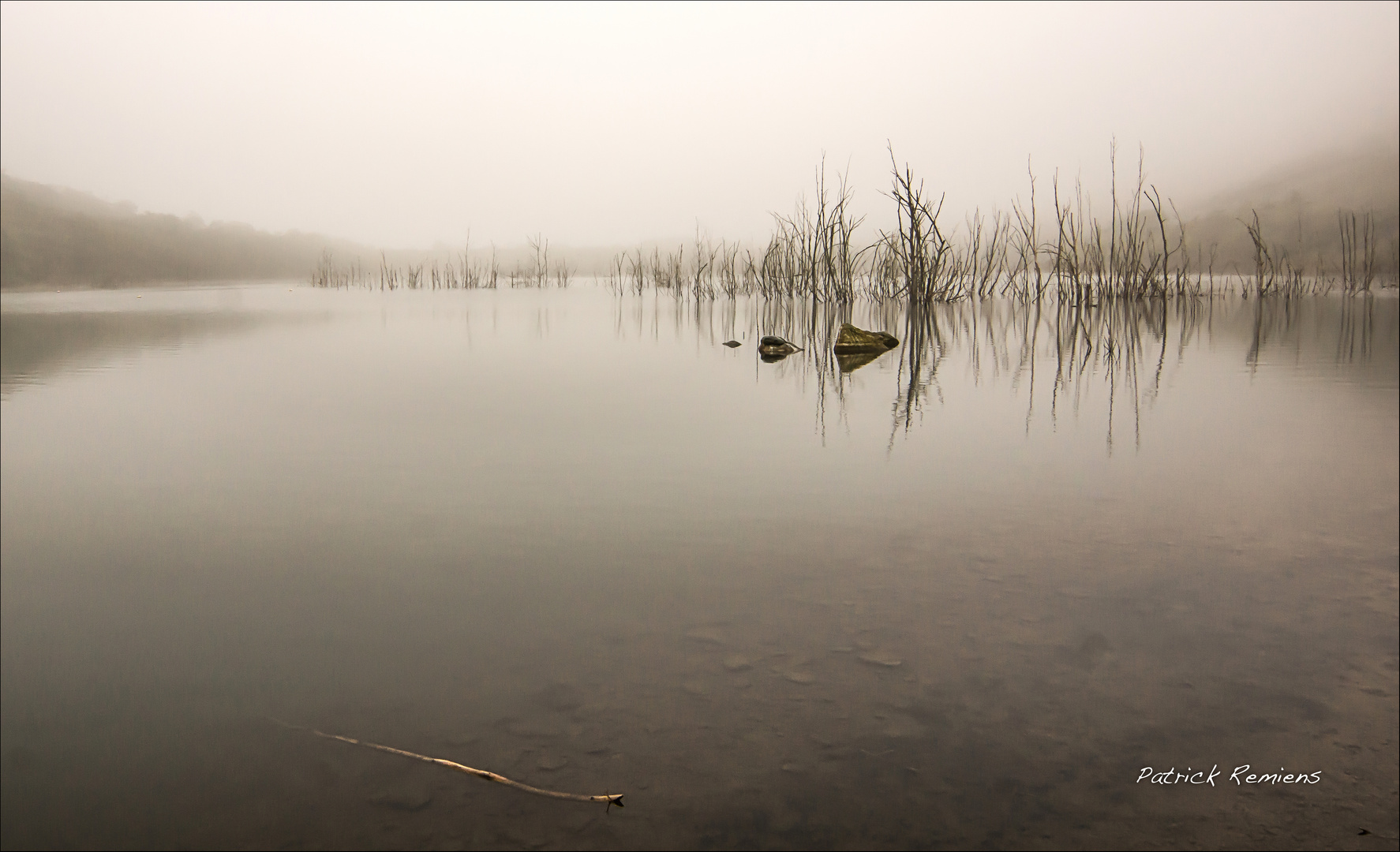 bois à flots