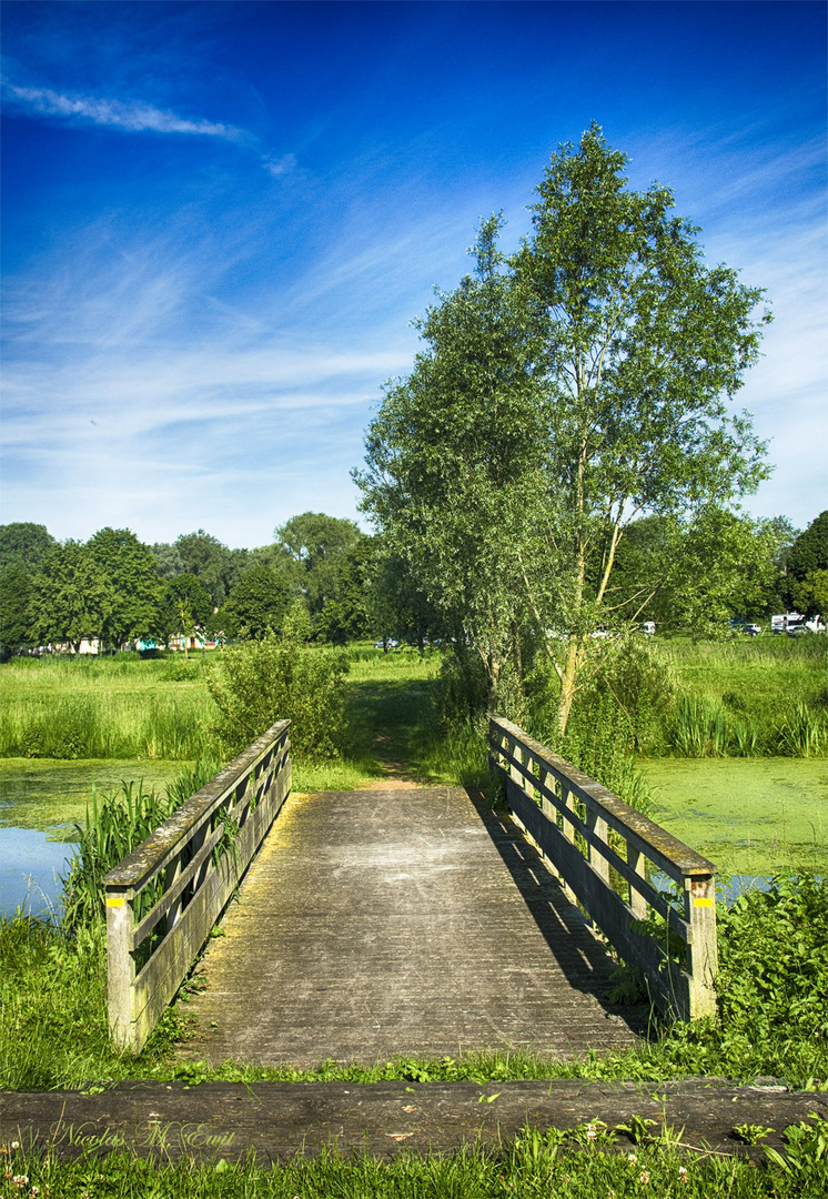 Bois De Florimont