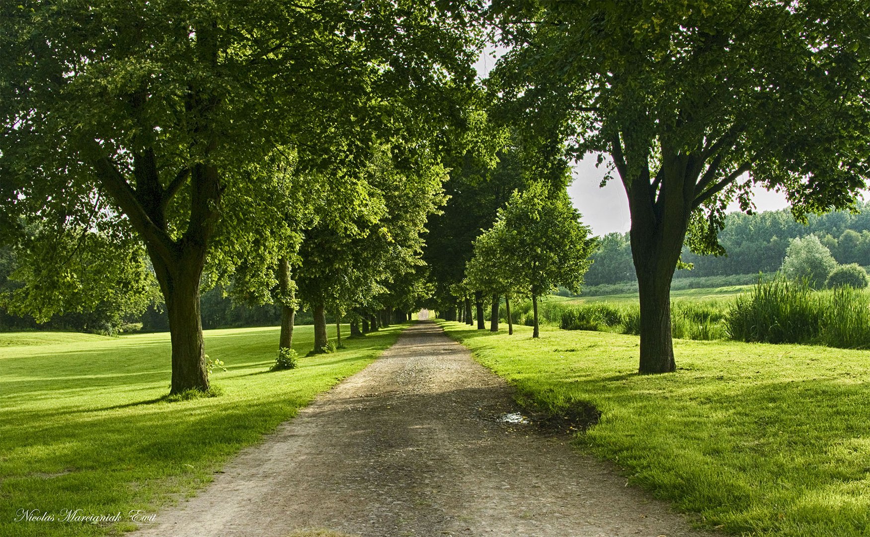 Bois De Florimont (Pas-De-Calais)