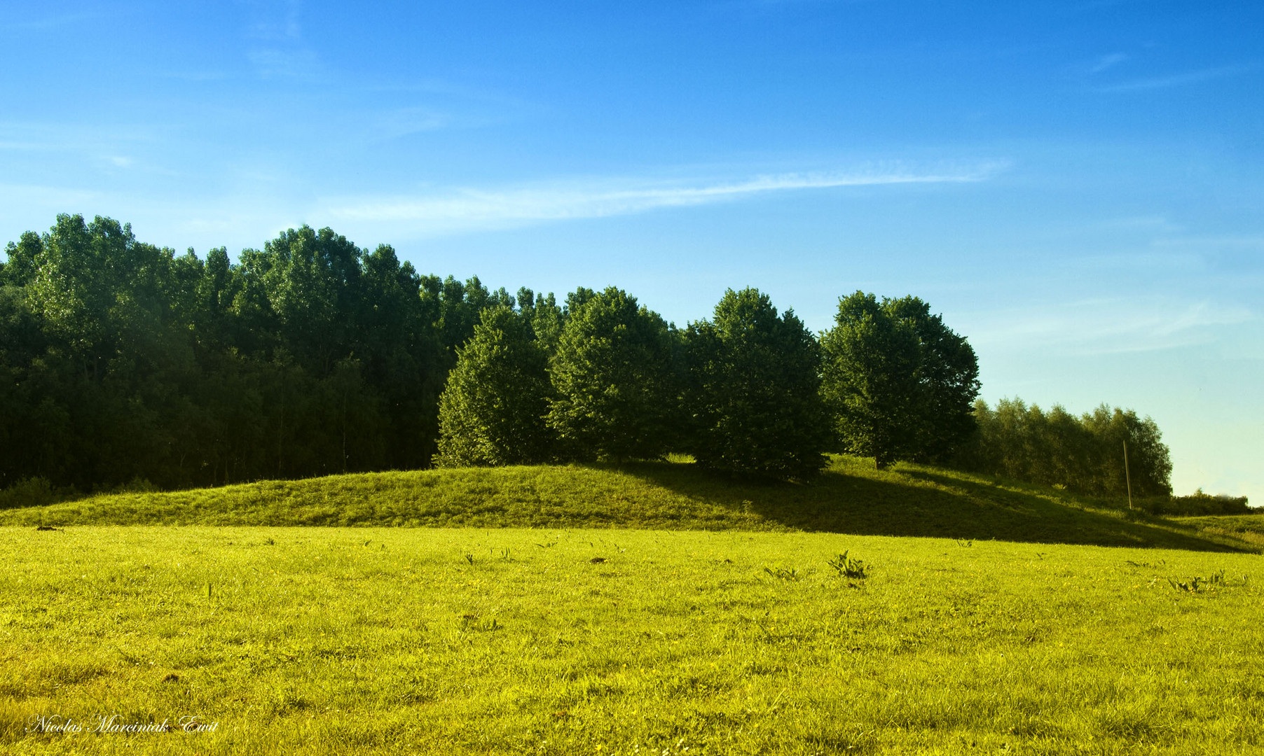 Bois De Florimont (Pas-De-Calais)