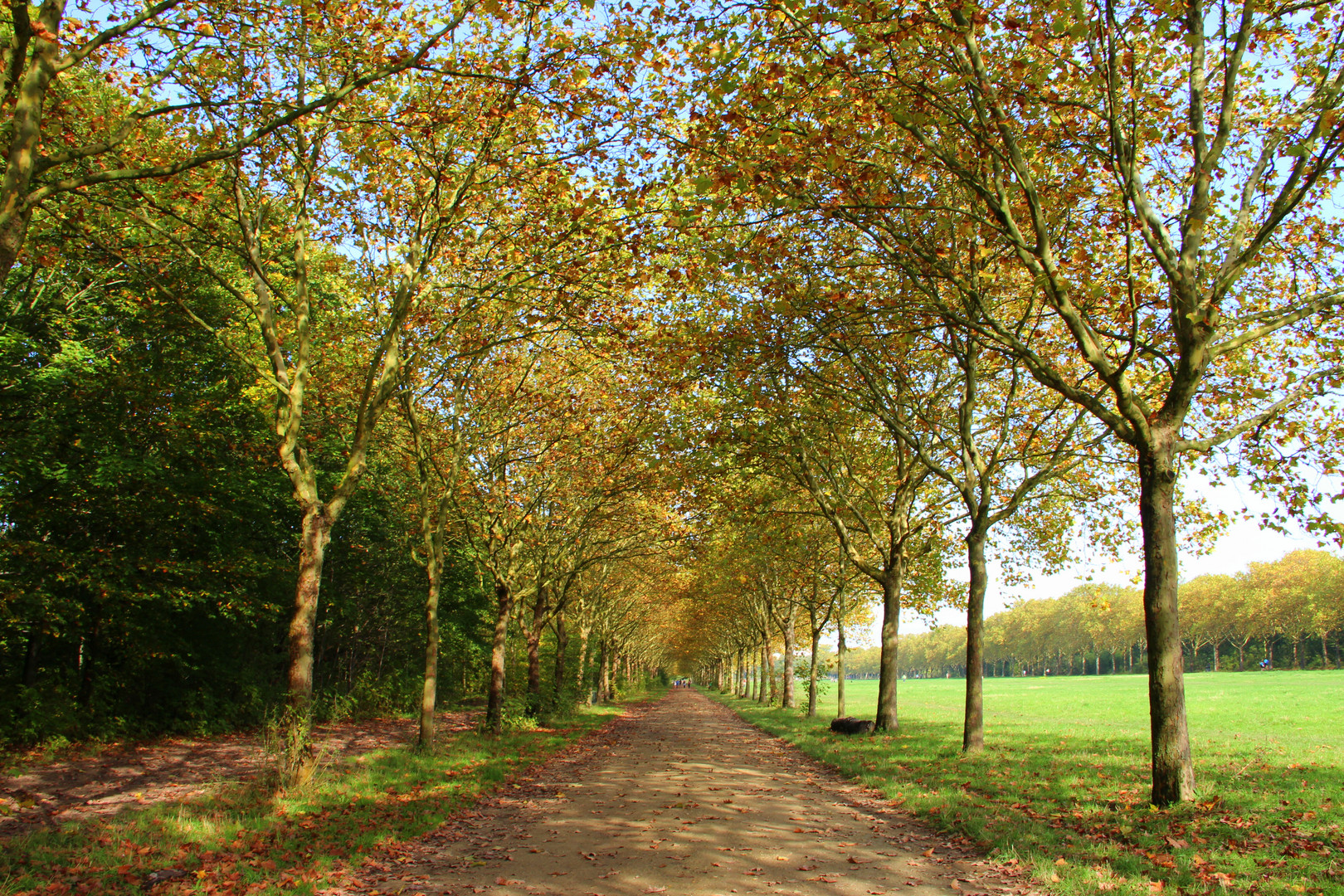 Bois de Vincennes