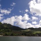 Bois des Amourettes - Mauritius