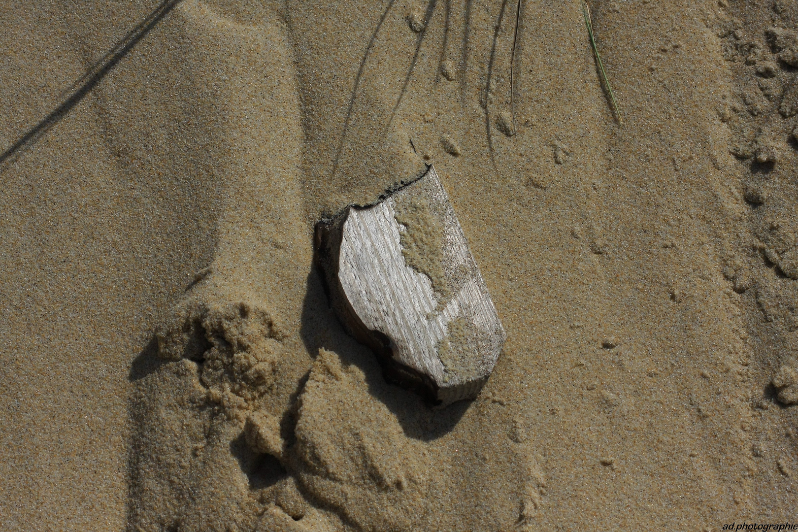 Bois et sable