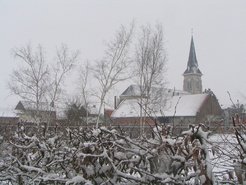 BOIS GRENIER(Nord de la France)