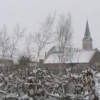 BOIS GRENIER(Nord de la France)