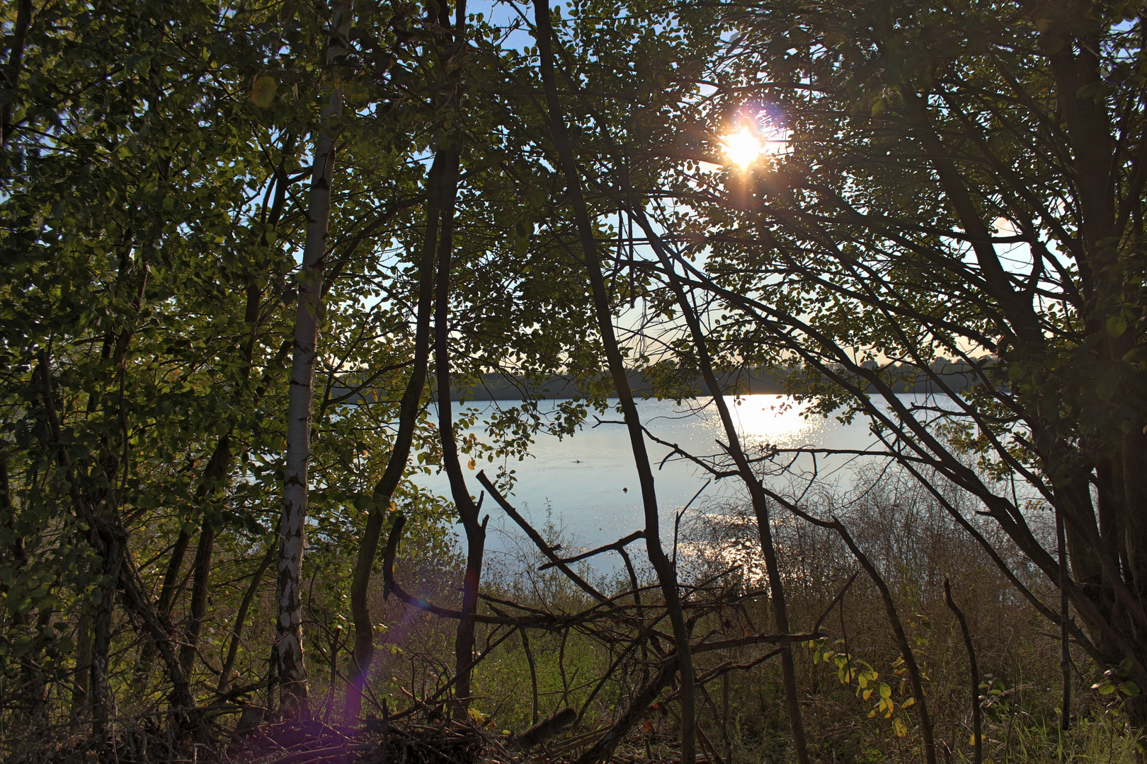 Boisdorfersee im Gegenlicht