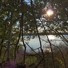 Boisdorfersee im Gegenlicht