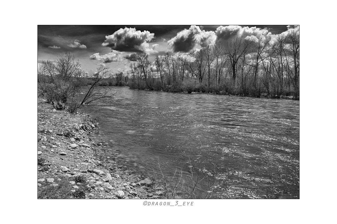 Boise River 