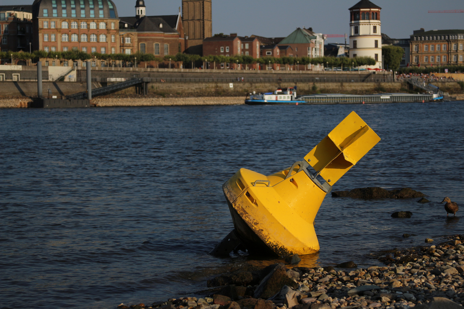 Boje auf dem trockenen