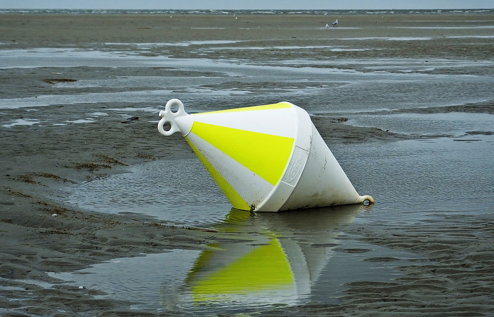 Boje im Wattenmeer (Buoy in the Wadden Sea) NORDSEE - NORTH SEA