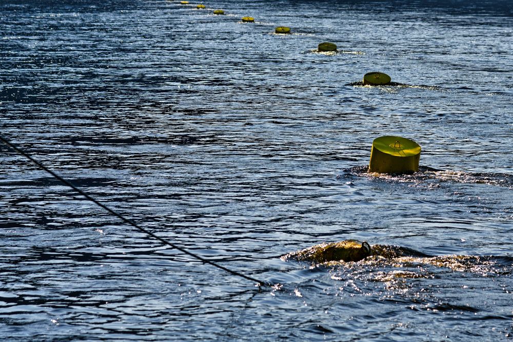 Bojen im Fluss