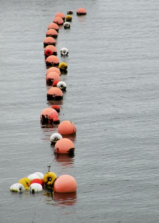 Bojenschlange bei Ponta Delgada