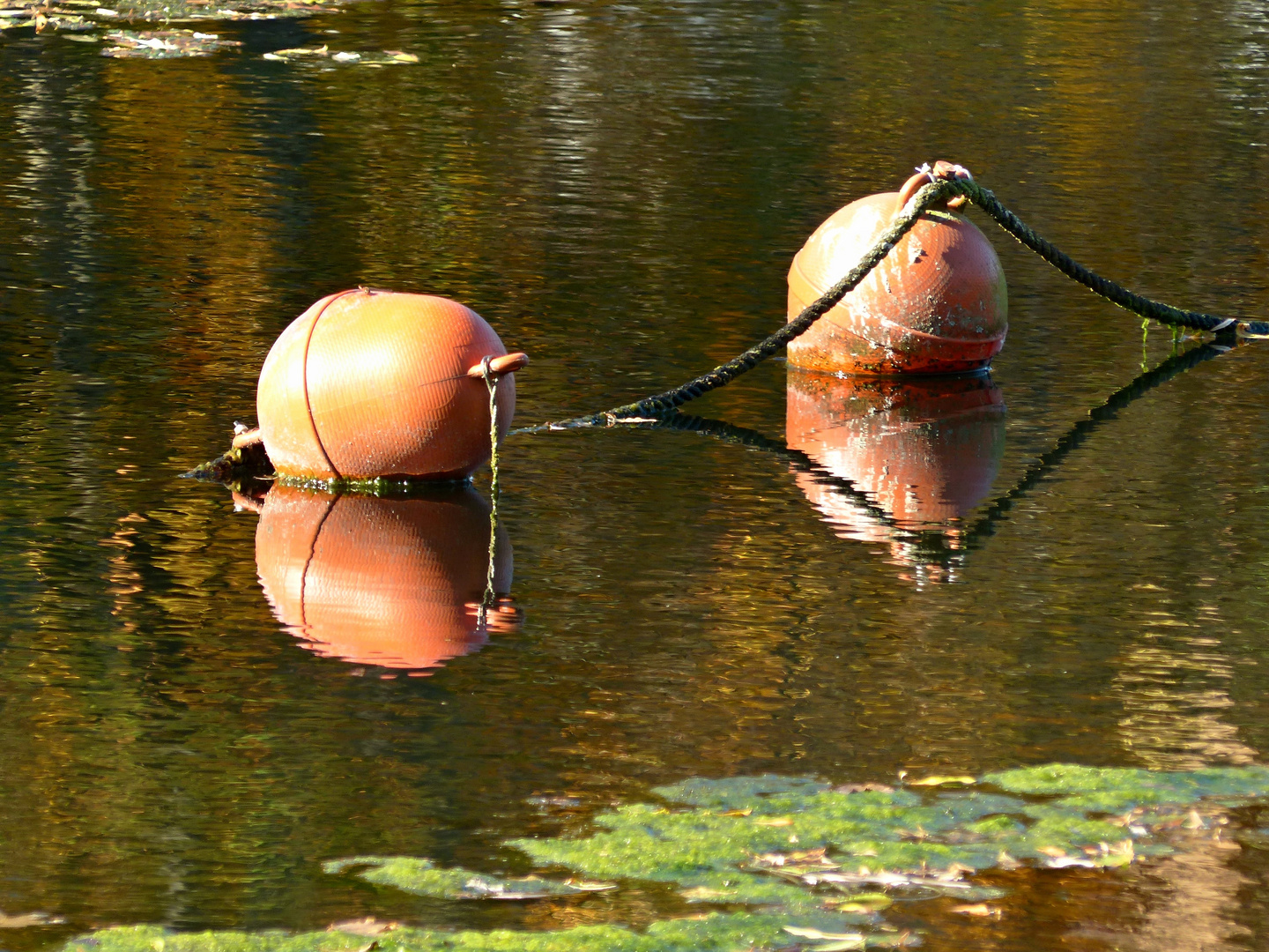 Bojenspiegelung