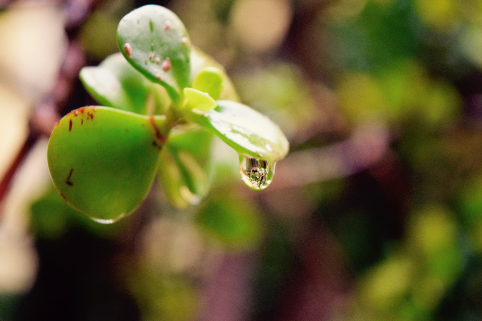 Bokeh!