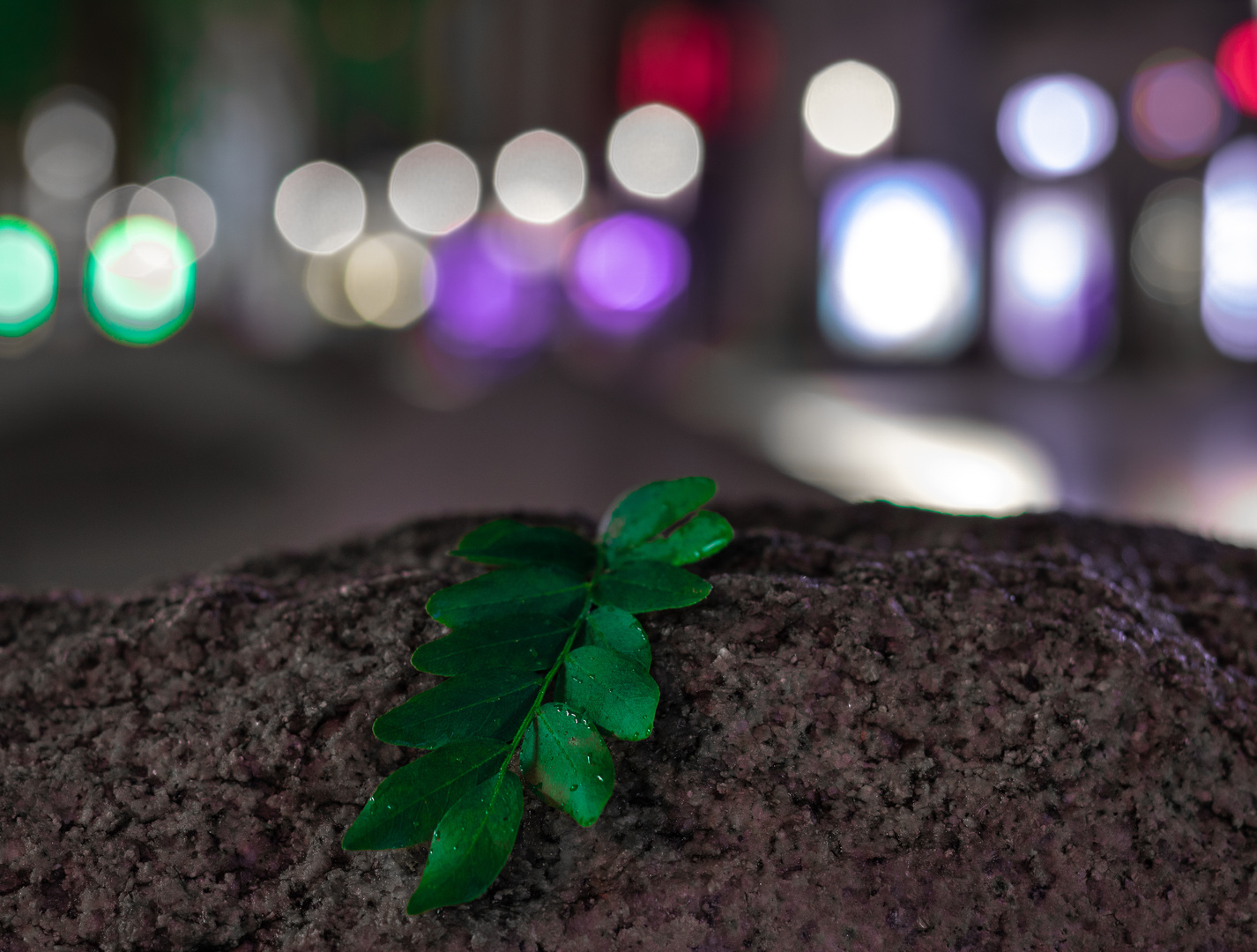 Bokeh bei Nacht 