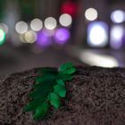 Bokeh bei Nacht 