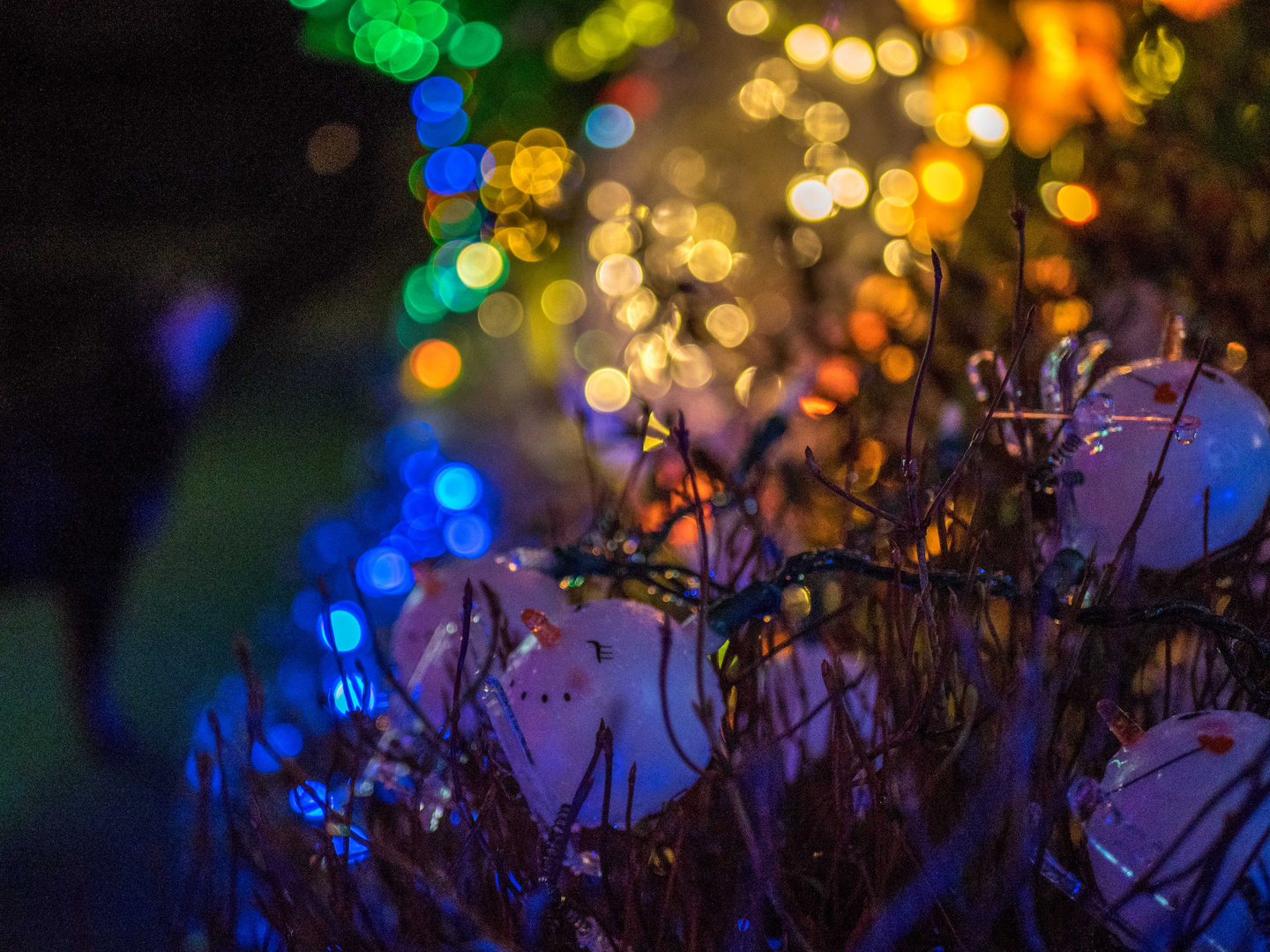 Bokeh Christmas lights