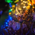 Bokeh Christmas lights