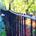 Bokeh Fence