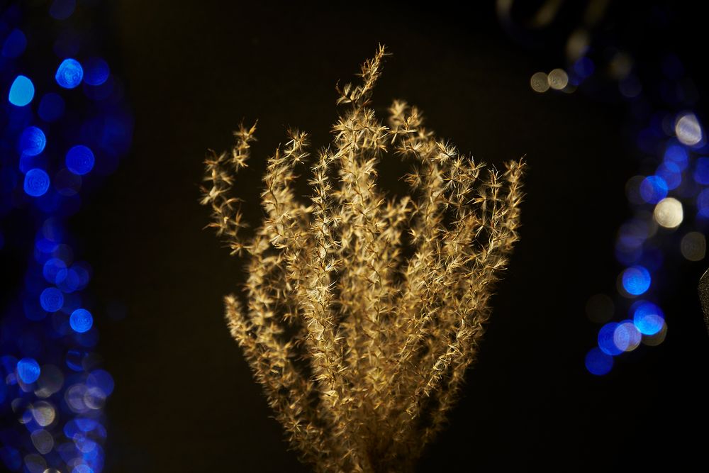 Bokeh mit Stahlwolle